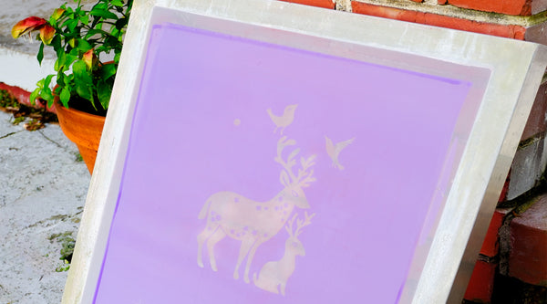 How to Post Expose your Screen Printing Stencils